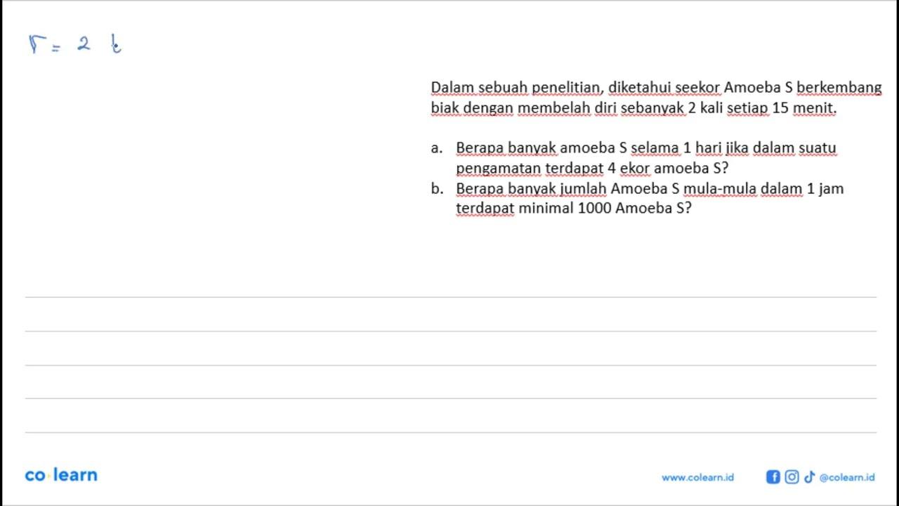 Dalam sebuah penelitian, diketahui seekor Amoeba S