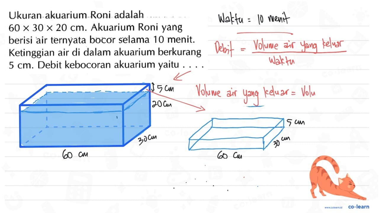 Ukuran akuarium Roni adalah 60 x 30 x 20 cm. Akuarium Roni