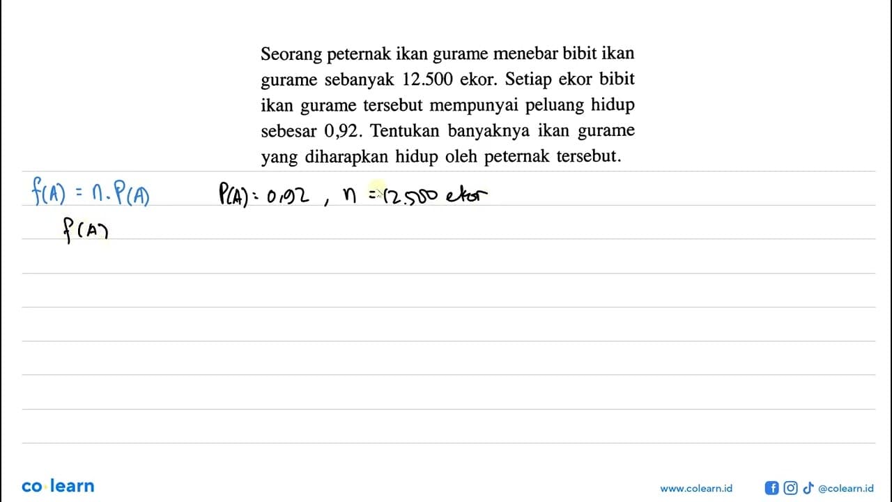 Seorang peternak ikan gurame menebar bibit ikan gurame