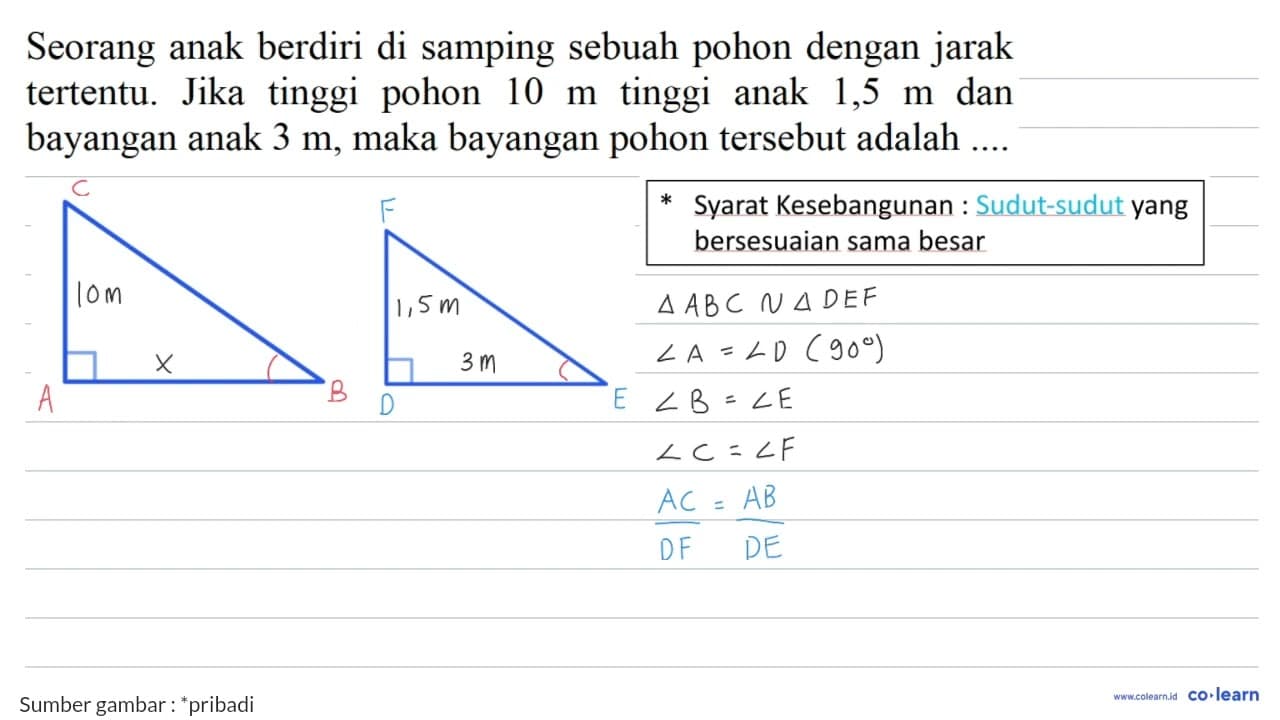 Seorang anak berdiri di samping sebuah pohon dengan jarak