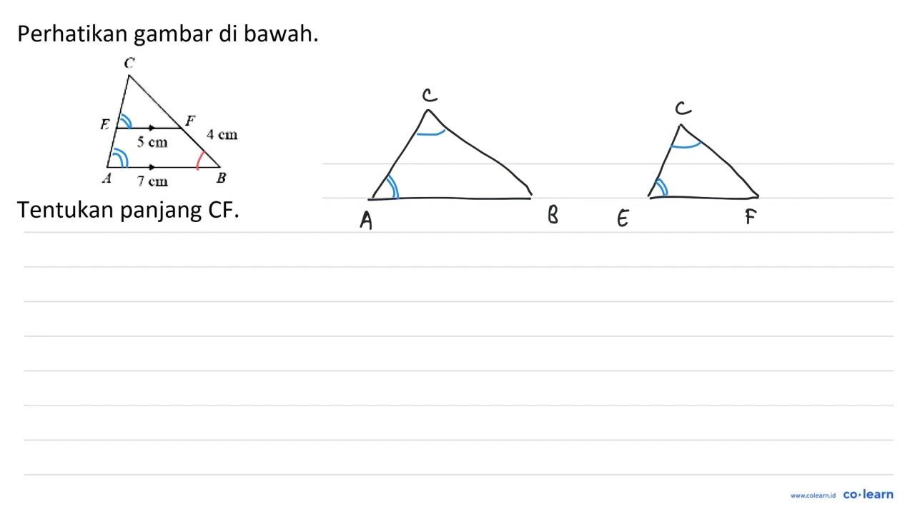 Perhatikan gambar di bawah. Tentukan panjang CF.