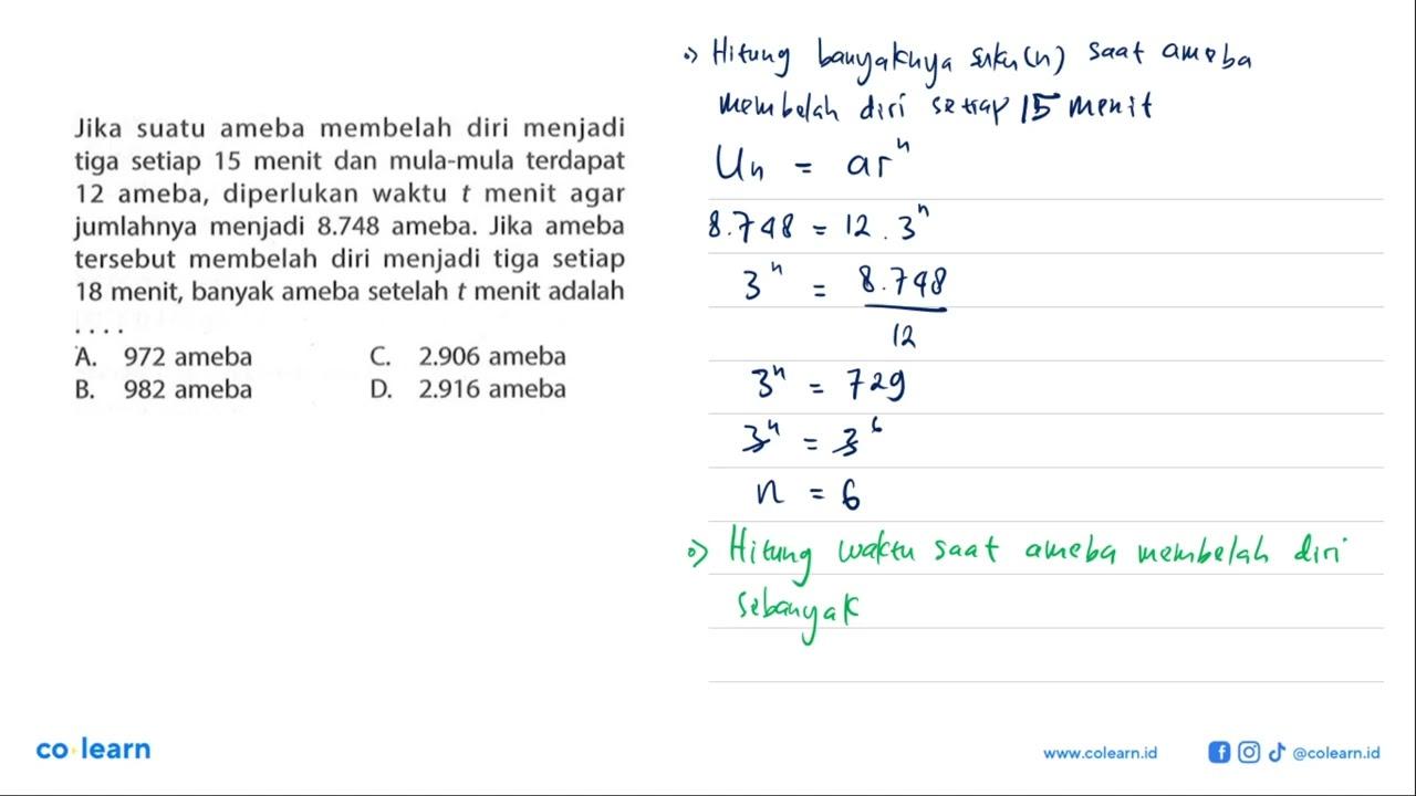 Jika suatu ameba membelah diri menjadi tiga setiap 15 menit