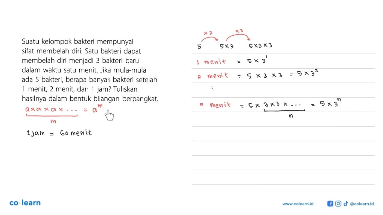 Suatu kelompok bakteri mempunyai sifat membelah diri. Satu