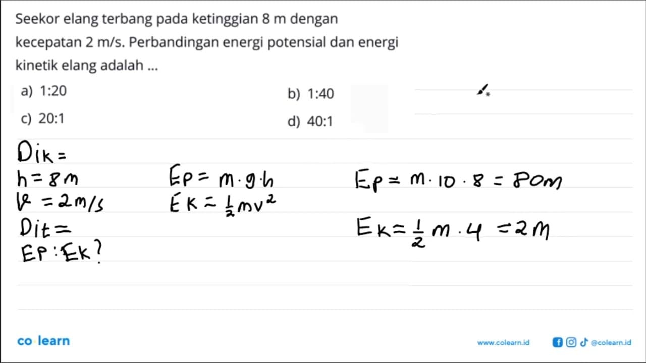 Seekor elang terbang pada ketinggian 8 m dengan kecepatan 2