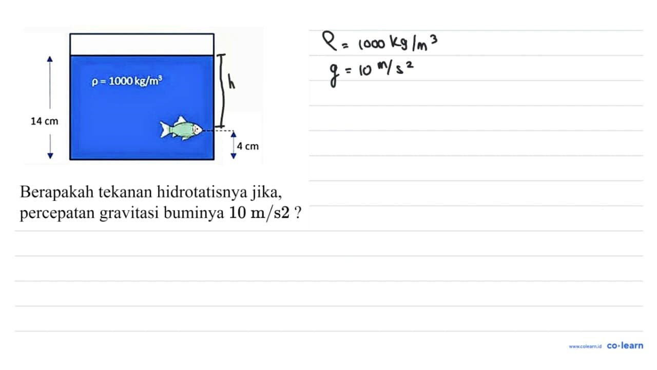 Berapakah tekanan hidrotatisnya jika, percepatan gravitasi