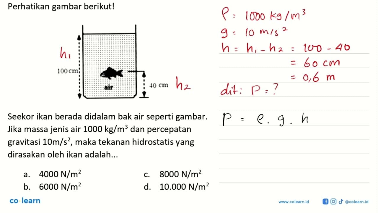 Perhatikan gambar berikut! 100 cm air 40 cm Seekor ikan