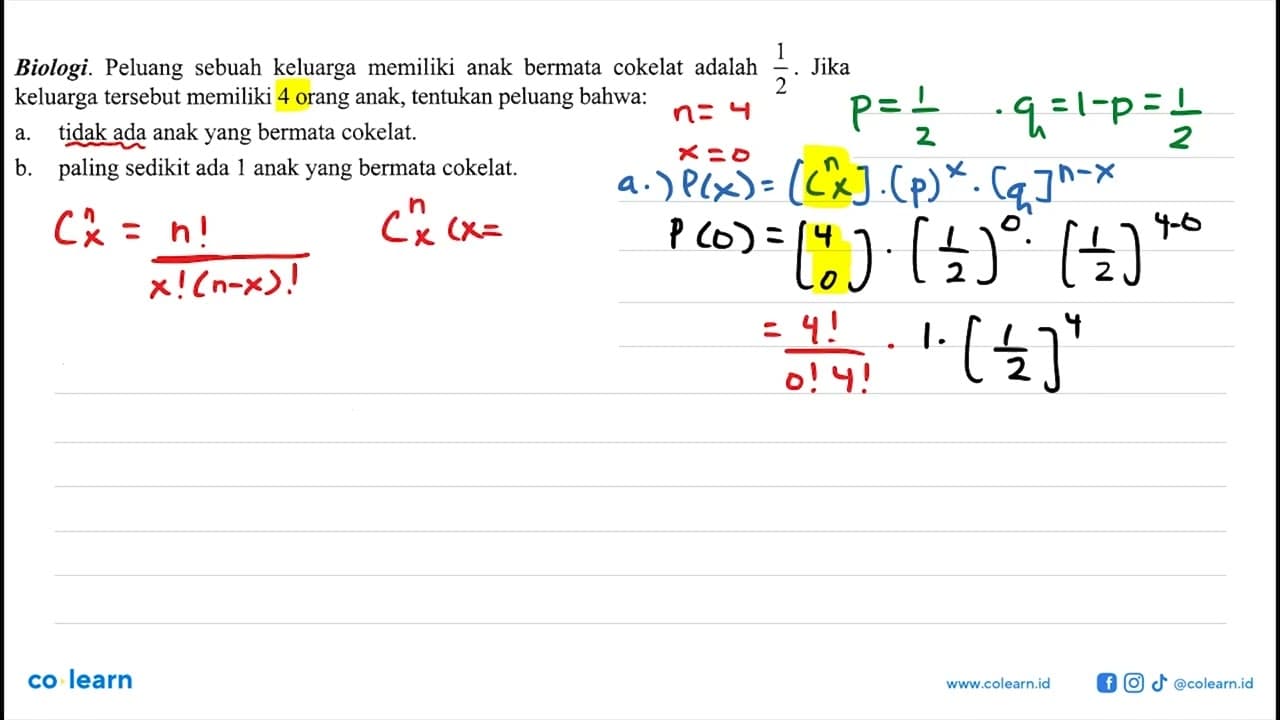 Biologi. Peluang sebuah keluarga memiliki anak bermata