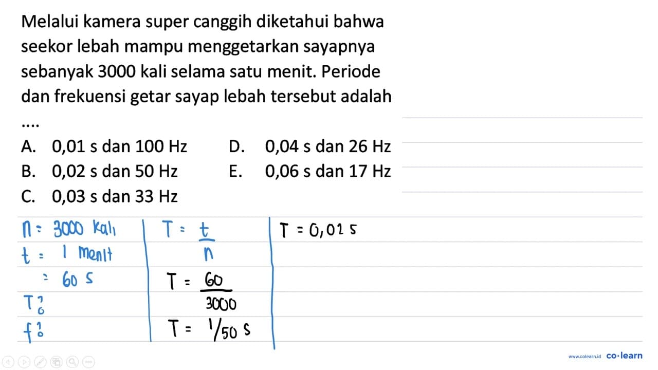 Melalui kamera super canggih diketahui bahwa seekor lebah