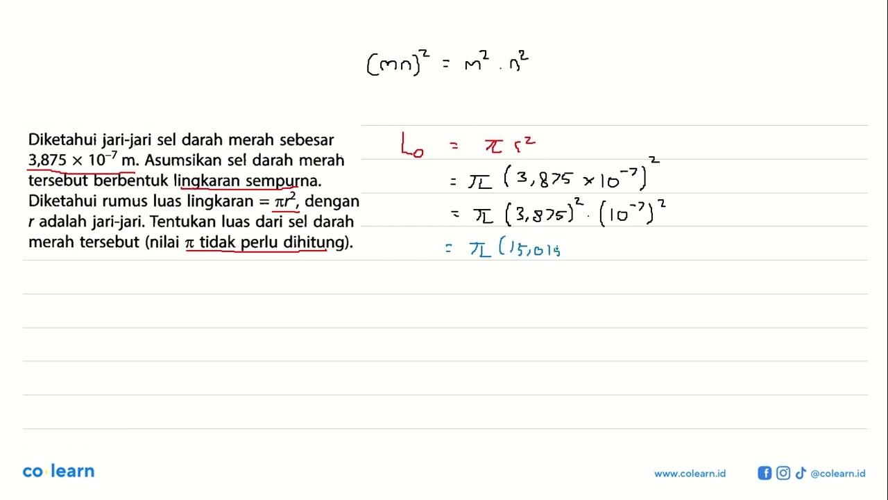 Diketahui jari-jari sel darah merah sebesar 3,875x10^-7 m.