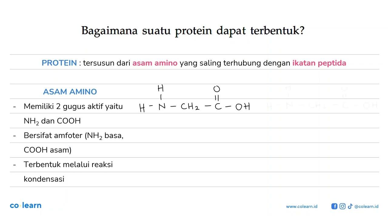 Bagaimana suatu protein dapat terbentuk?