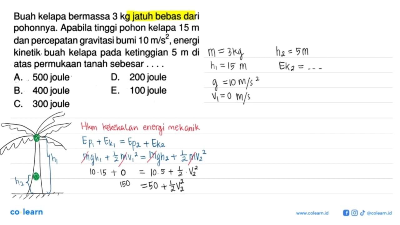 Buah kelapa bermassa 3 kg jatuh bebas dari pohonnya.