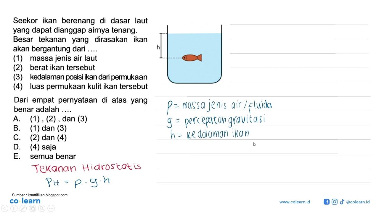 Seekor ikan berenang di dasar laut yang dapat dianggap