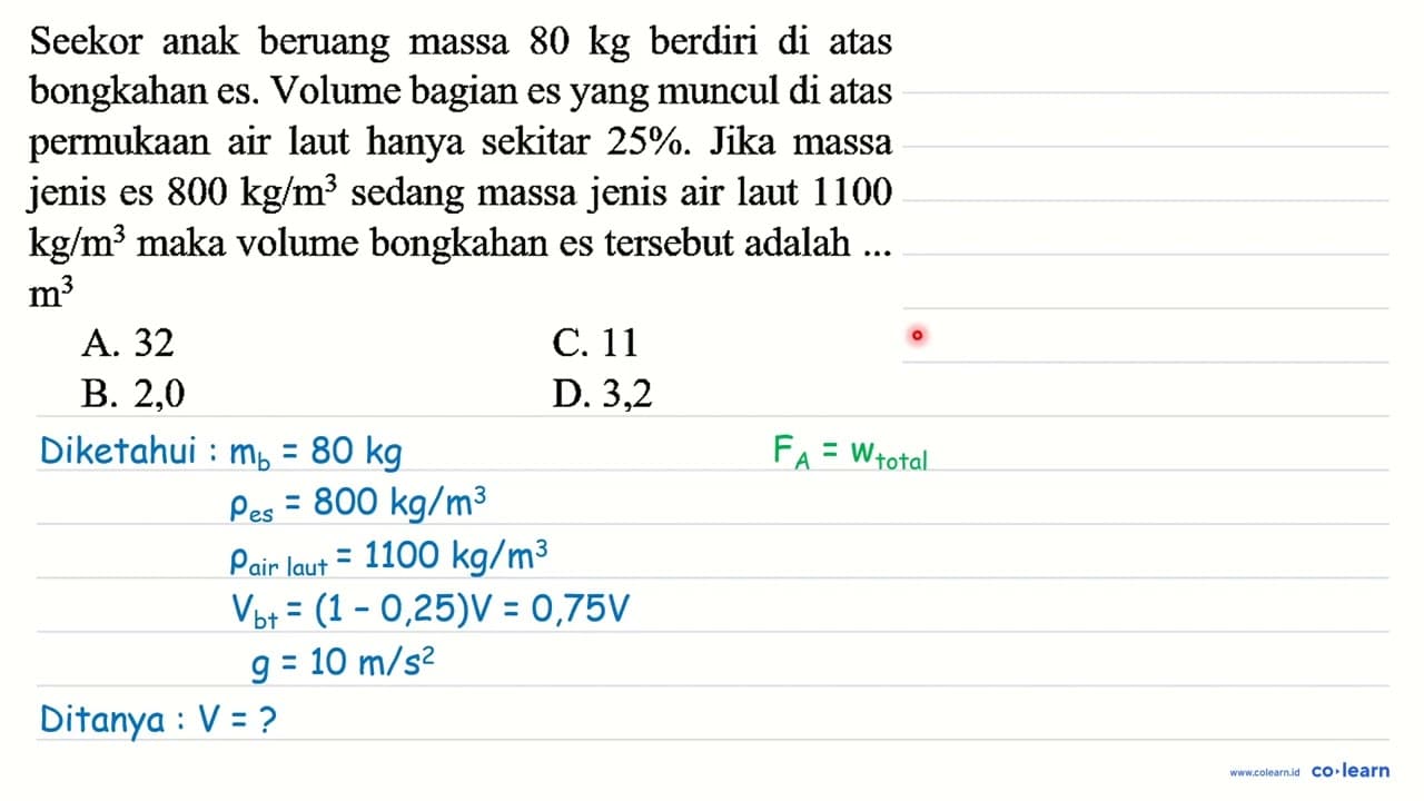 Seekor anak beruang massa 80 kg berdiri di atas bongkahan