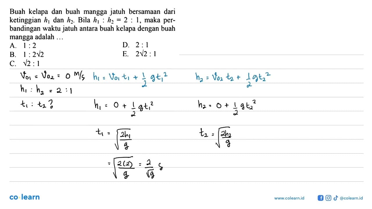 Buah kelapa dan buah mangga jatuh bersamaan dari ketinggian