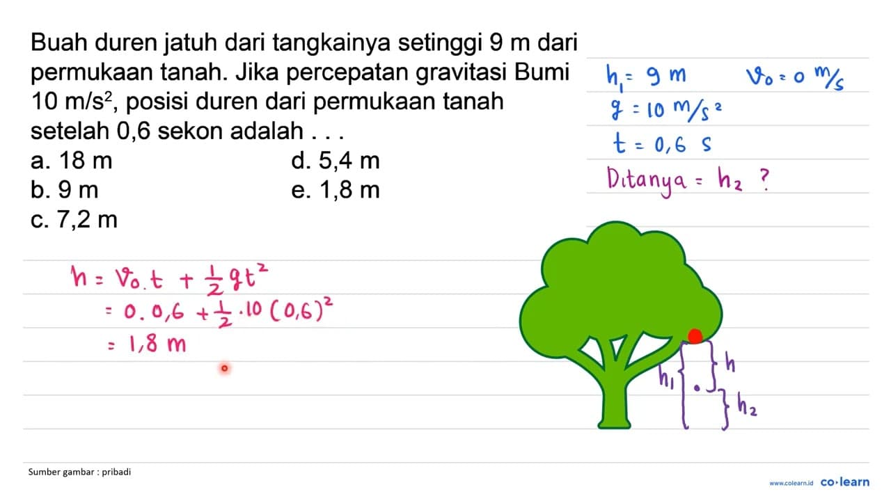 Buah duren jatuh dari tangkainya setinggi 9 m dari