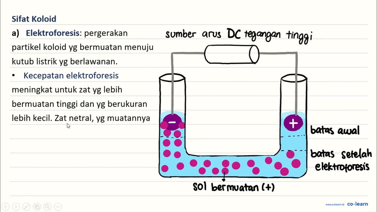 Jelaskan perbedaan antara koloid liofil dan koloid liofaob