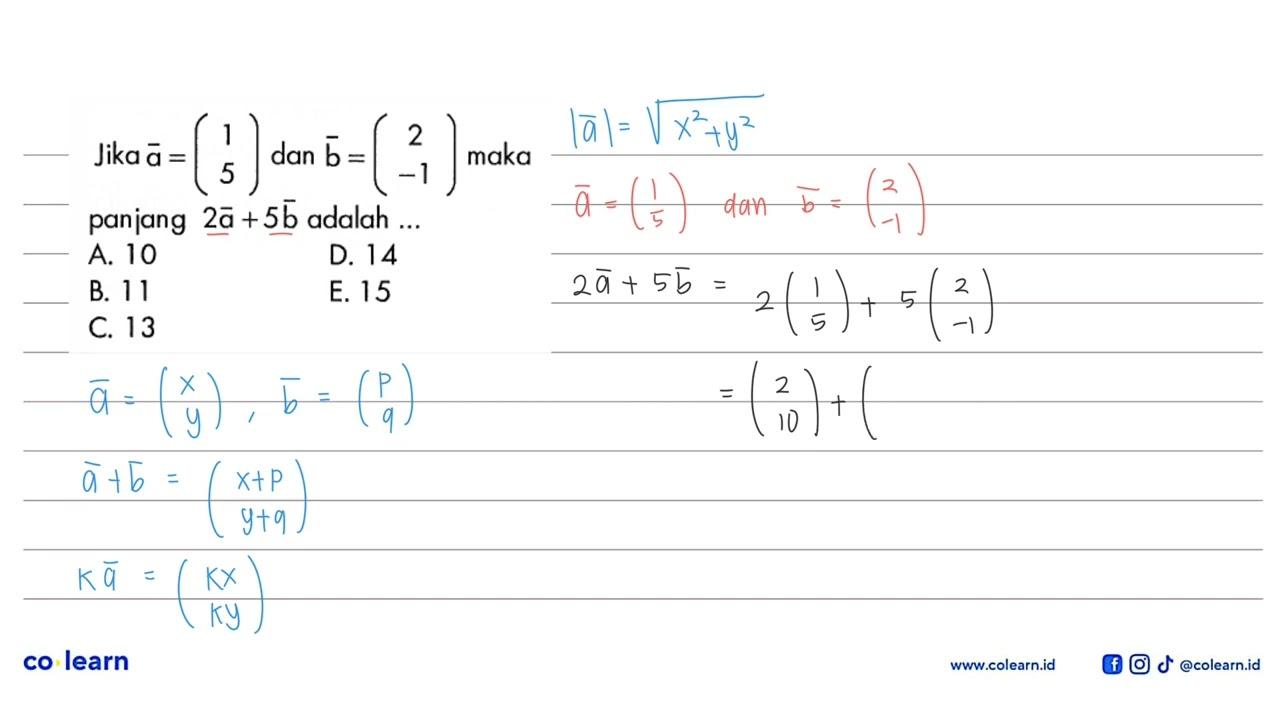 Jika a=(1 5) dan b=(2 -1) maka panjang 2a+5b adalah ...