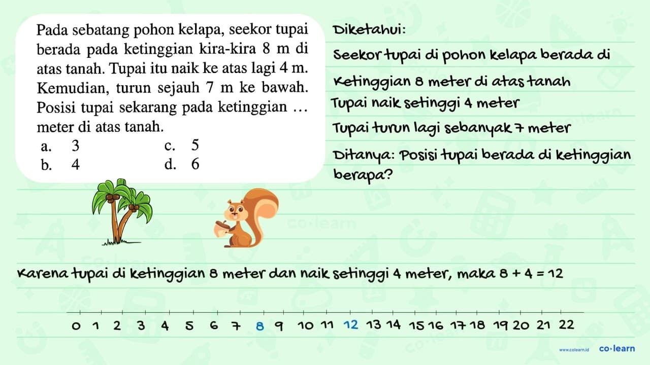 Pada sebatang pohon kelapa, seekor tupai berada pada