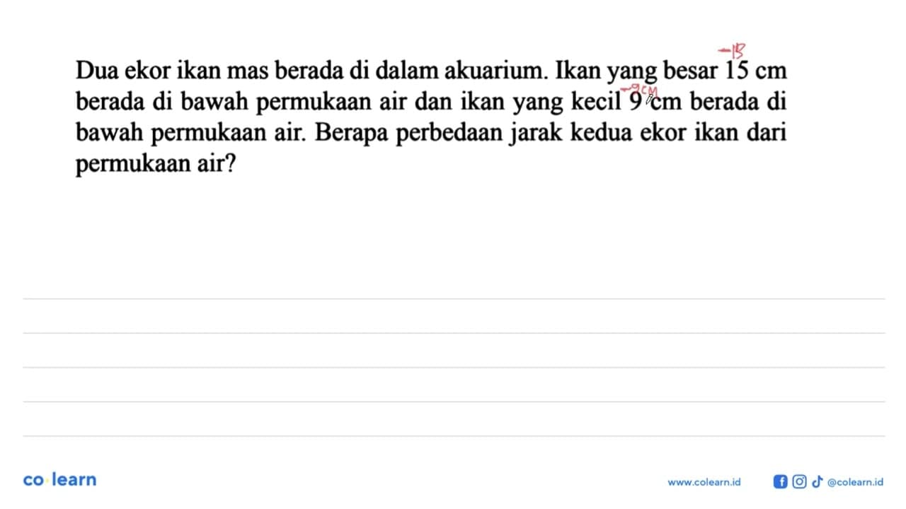 Dua ekor ikan mas berada di dalam akuarium. Ikan yang besar