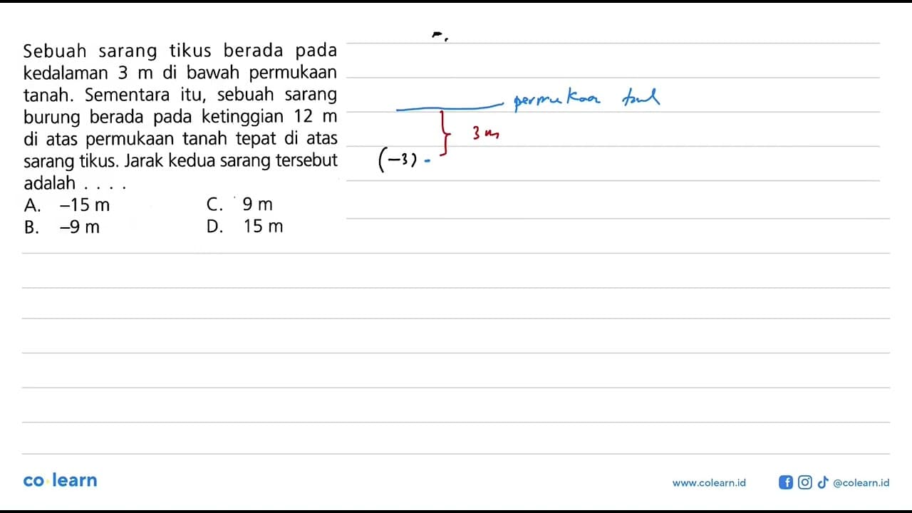 Sebuah sarang tikus berada pada kedalaman 3 m di bawah