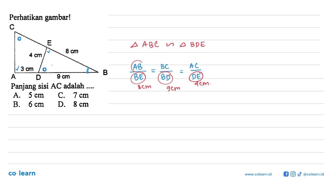 Perhatikan gambar! ABCDE 8 cm 4 cm 3 cm 9 cm Panjang sisi