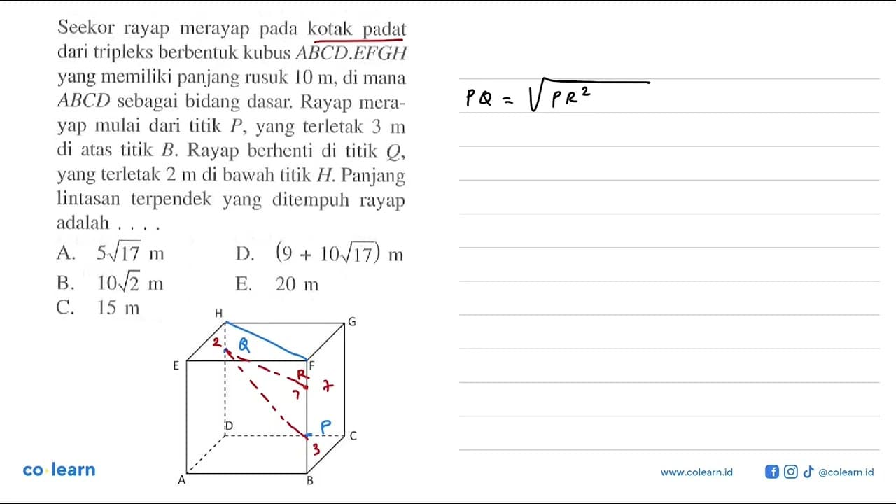 Seekor rayap merayap pada kotak padat dari tripleks