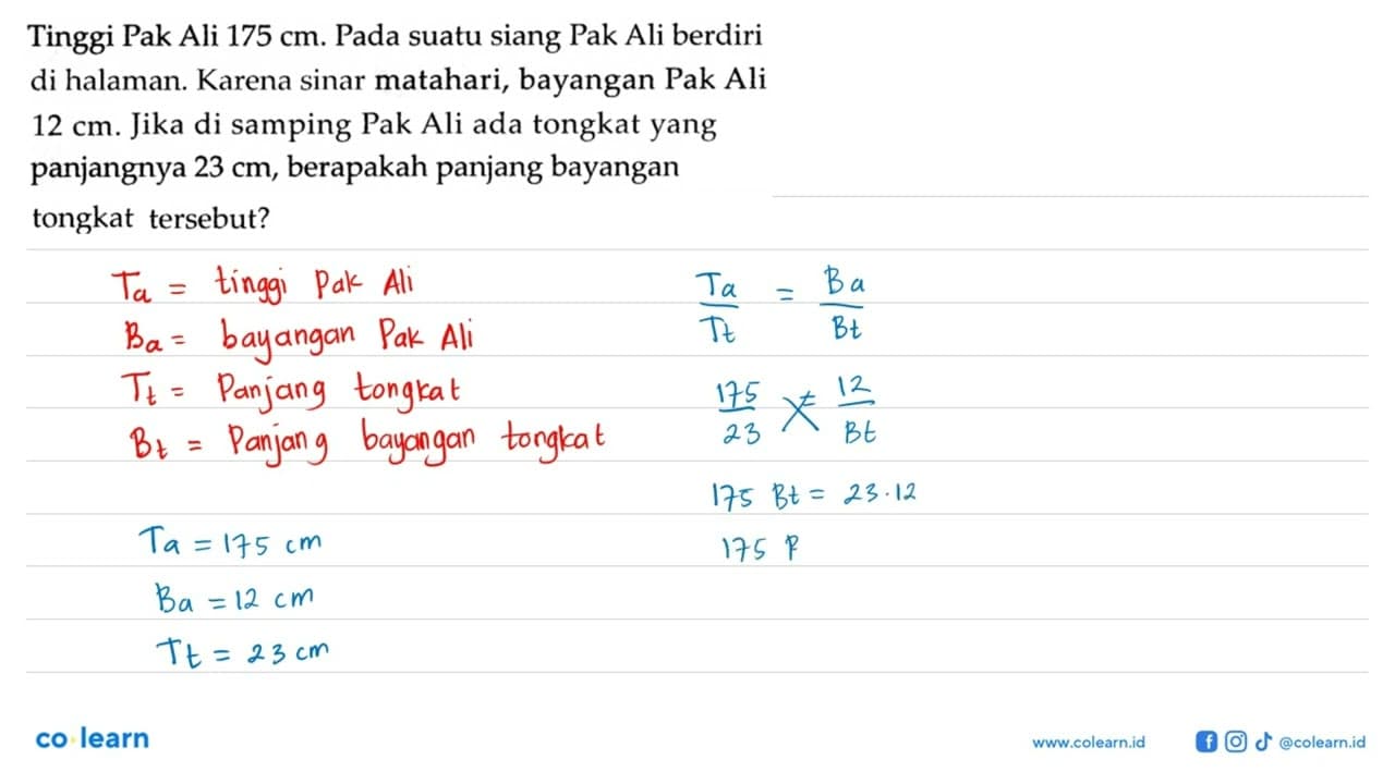 Tinggi Pak Ali 175 cm . Pada suatu siang Pak Ali berdiri di