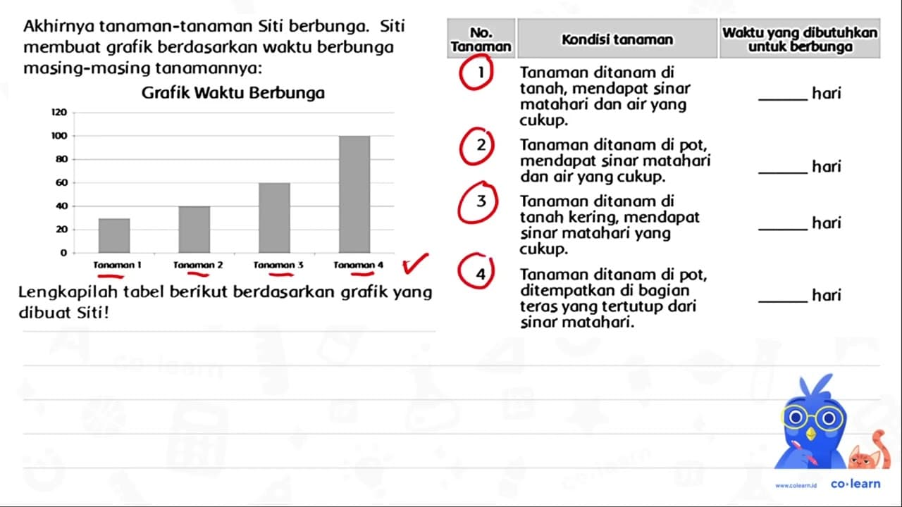 Akhirnya tanaman-tanaman Siti berbunga. Siti membuat grafik