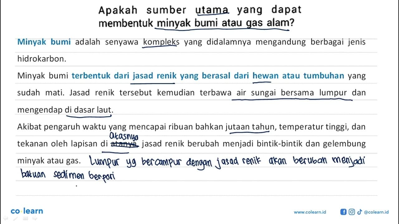 Apakah sumber utama yang dapat membentuk minyak bumi atau