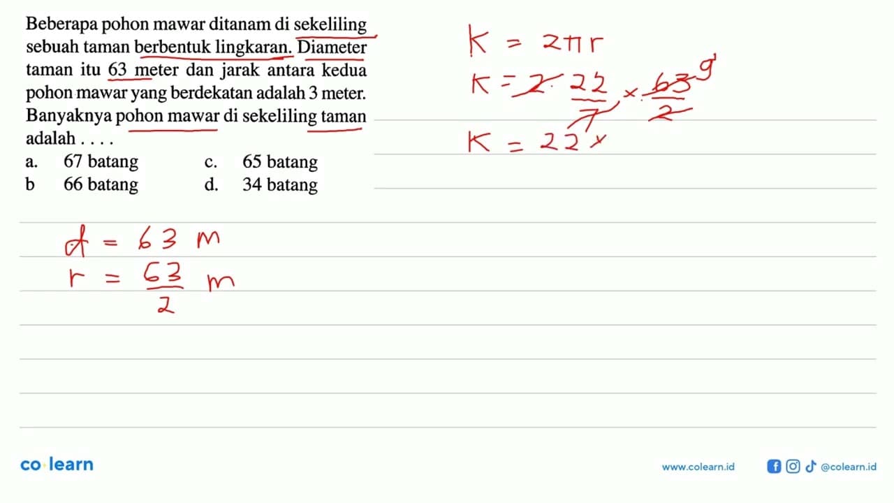 Beberapa pohon mawar ditanam di sekeliling sebuah taman