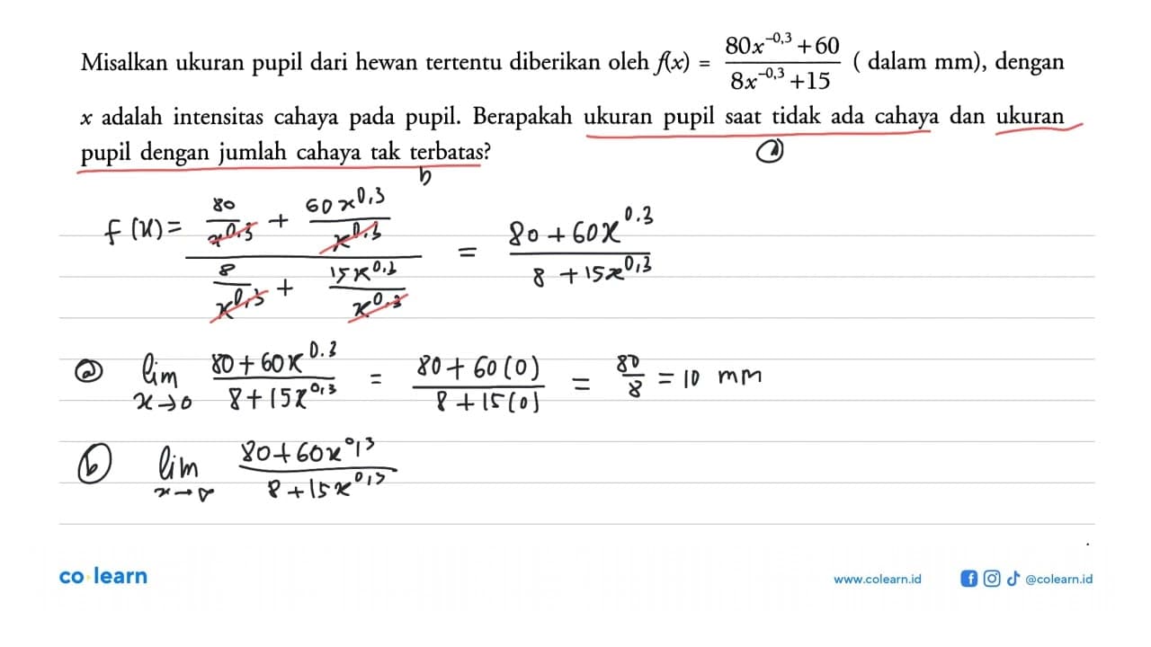 Misalkan ukuran pupil dari hewan tertentu diberikan oleh