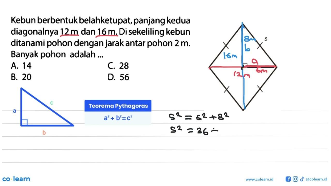 Kebun berbentuk belahketupat, panjang kedua diagonalnya 12