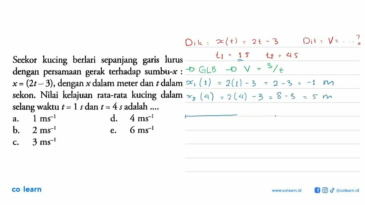 Seekor kucing berlari sepanjang garis lurus dengan