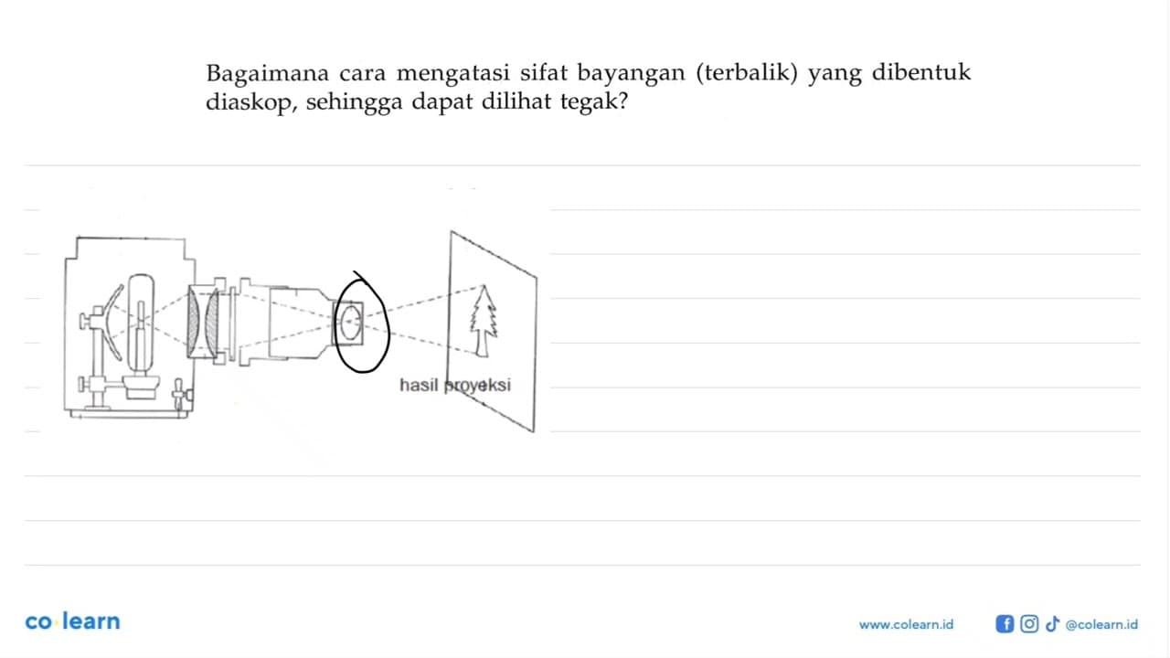 Bagaimana cara mengatasi sifat bayangan (terbalik) yang