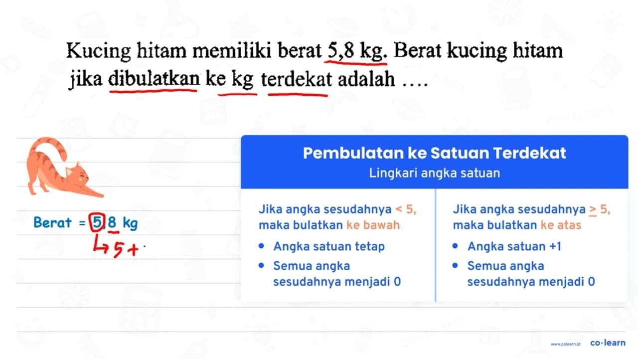 Kucing hitam memiliki berat 5,8 kg . Berat kucing hitam