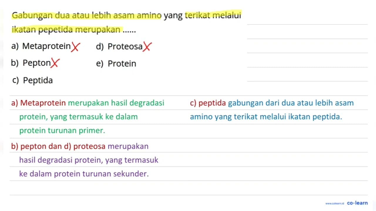 Gabungan dua atau lebih asam amino yang terikat melalui