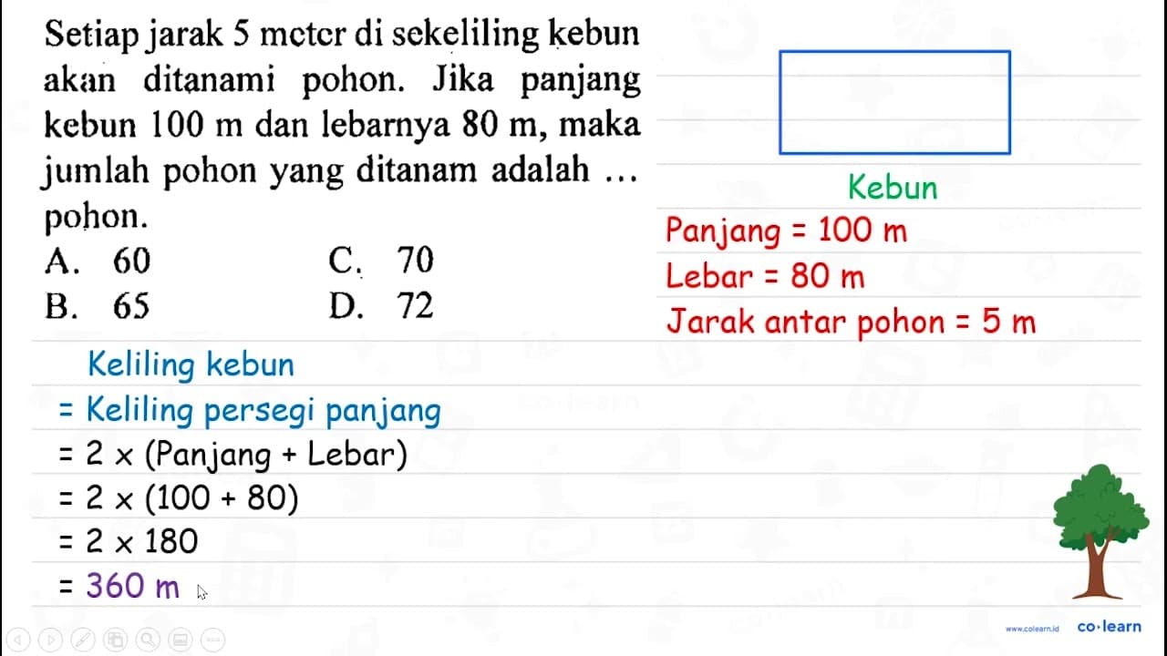 Setiap jarak 5 metcr di sekeliling kebun akan ditanami