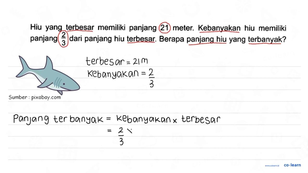 Hiu yang terbesar memiliki panjang 21 meter. Kebanyakan hiu