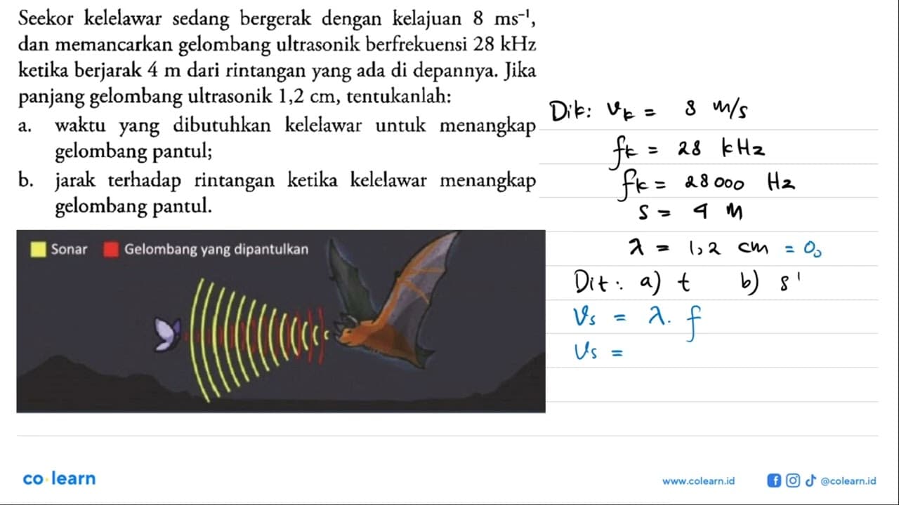 Seekor kelelawar sedang bergerak dengan kelajuan 8 ms^(-1),