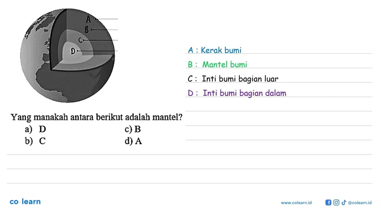 A B C D Yang manakah antara berikut adalah mantel?