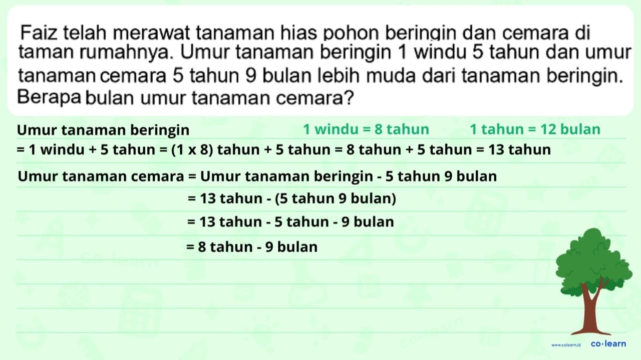 Faiz telah merawat tanaman hias pohon beringin dan cemara