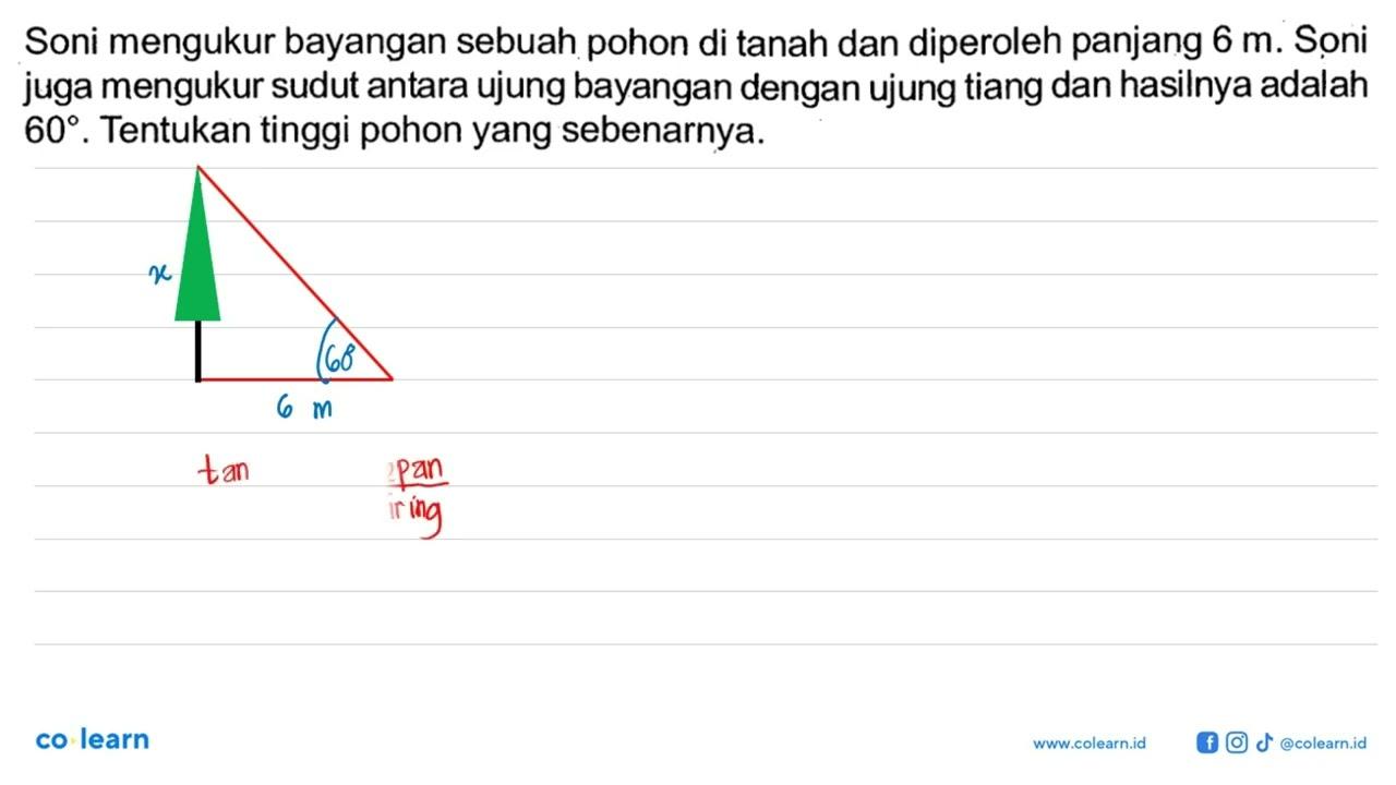 Soni mengukur bayangan sebuah pohon di tanah dan diperoleh