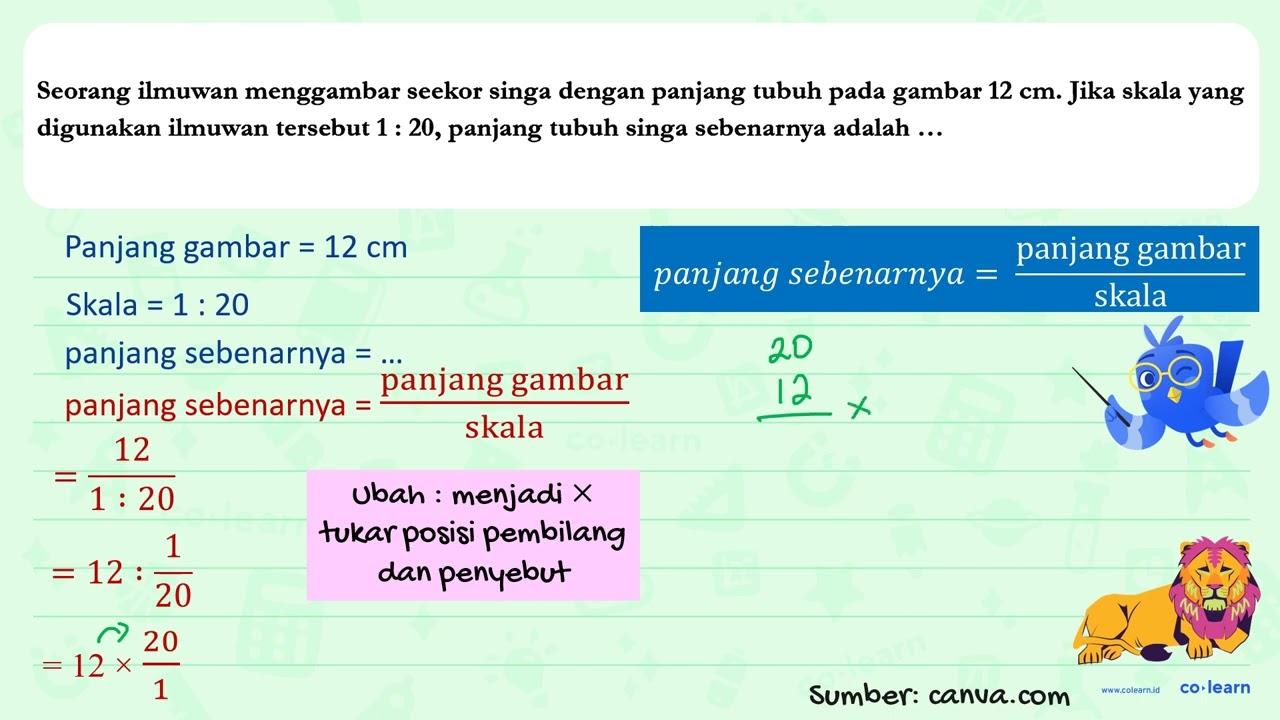 Seorang ilmuwan menggambar seekor singa dengan panjang