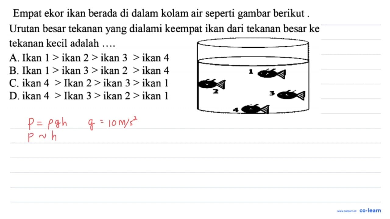 Empat ekor ikan berada di dalam kolam air seperti gambar