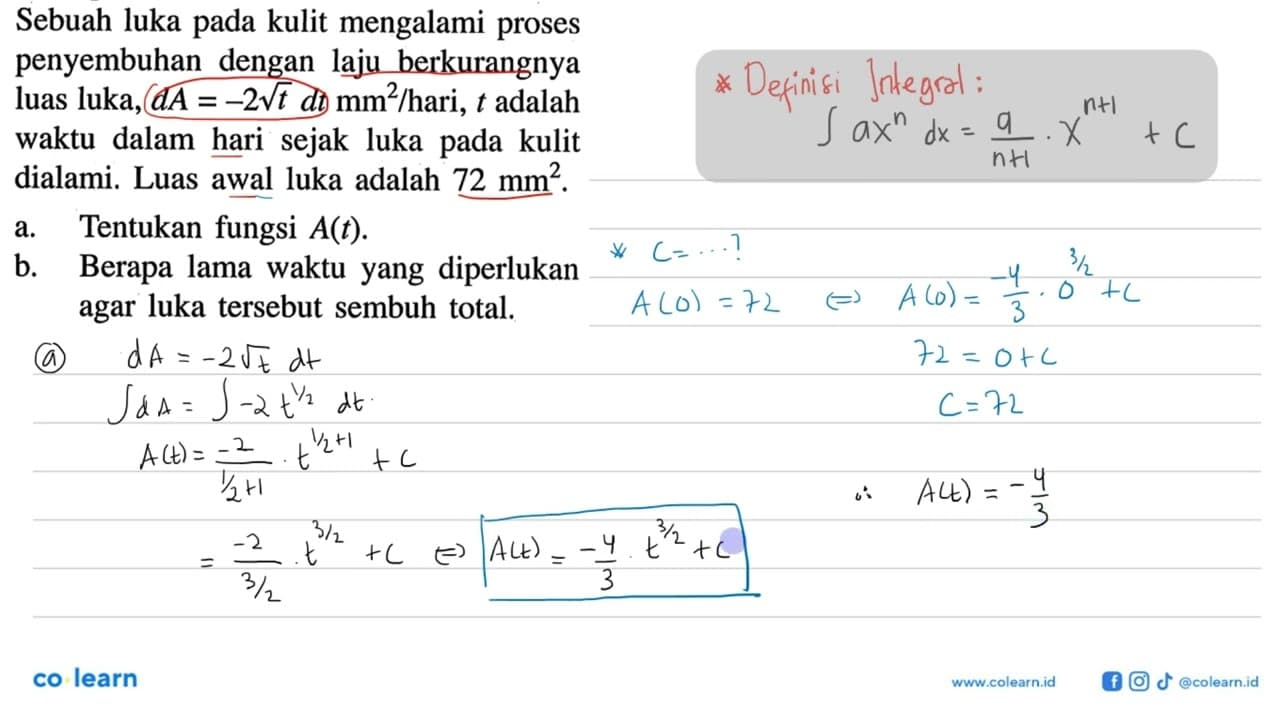 Sebuah luka pada kulit mengalami proses penyembuhan dengan