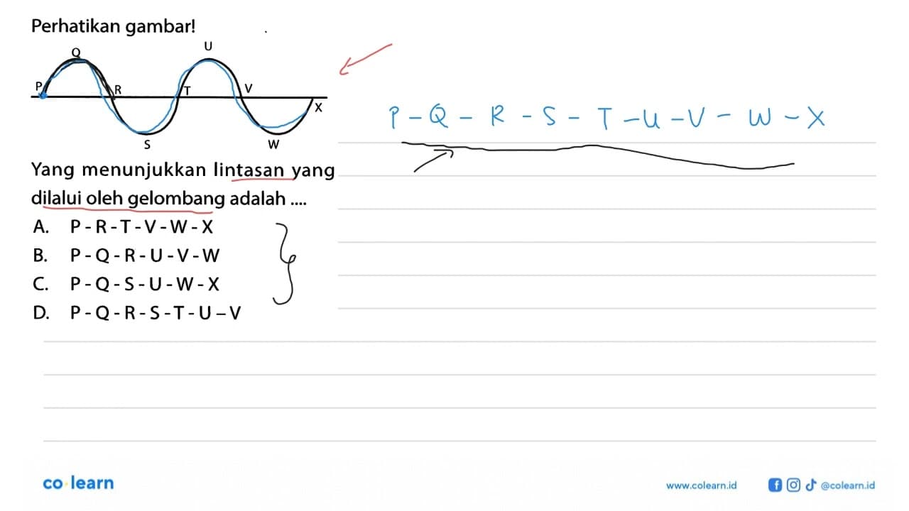 Perhatikan gambar!P Q R S T U V W XYang menunjukkan