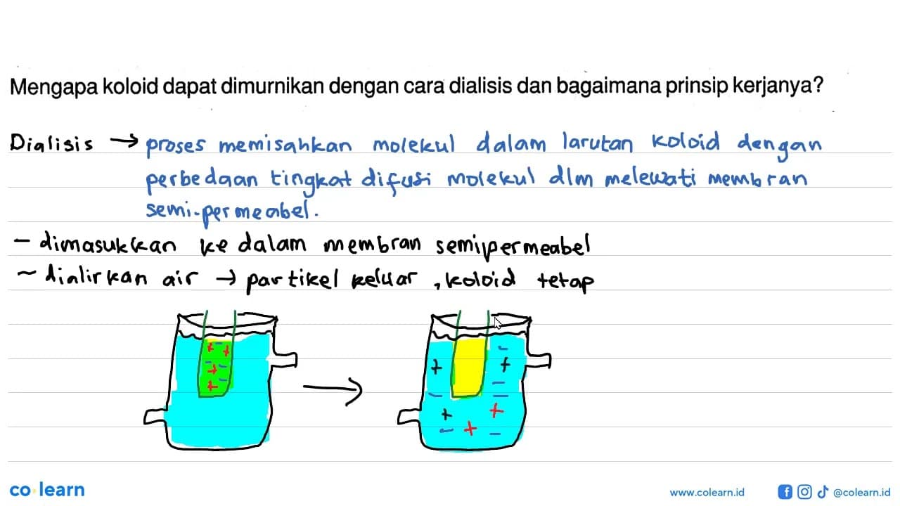 Mengapa koloid dapat dimurnikan dengan cara dialisis dan