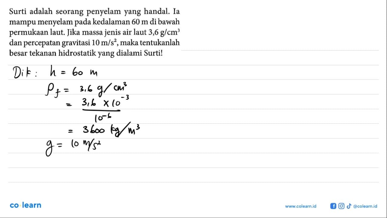 Surti adalah seorang penyelam yang handal. Ia mampu