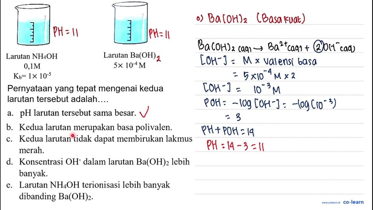 Perhatikan kedua larutan basa berikut: Larutan NH_(4) OH