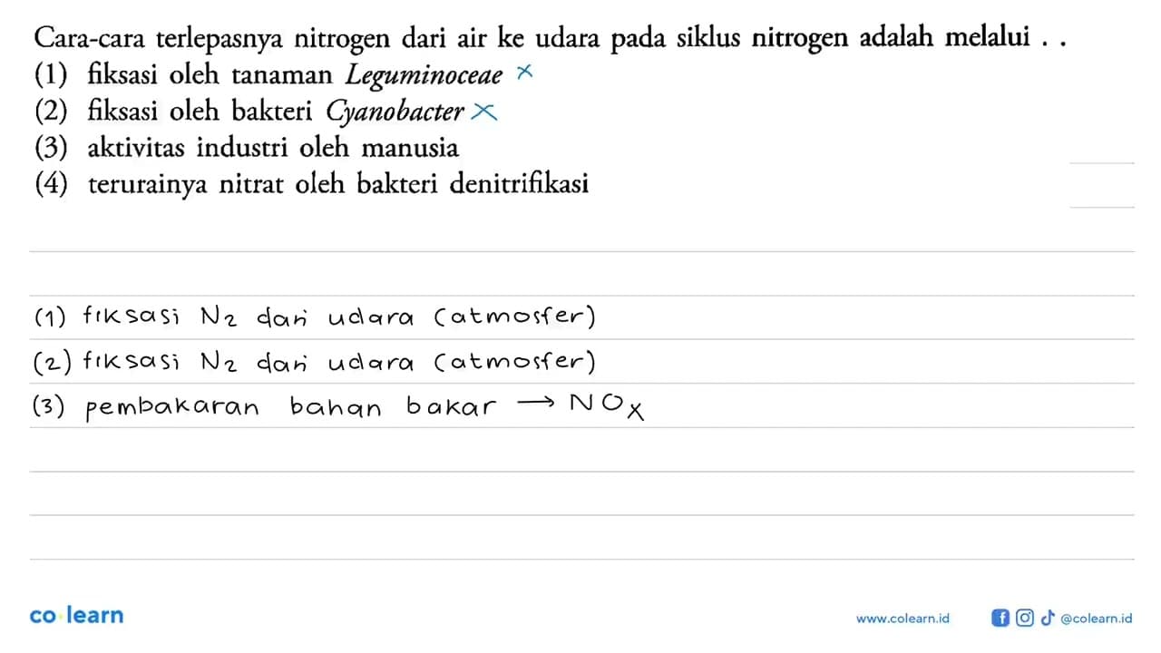 Cara-cara terlepasnya nitrogen dari air ke udara pada